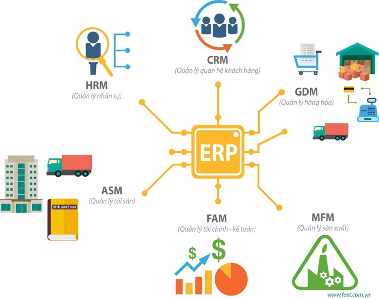 Phần mềm ERP là gì? Các yếu tố cần cân nhắc nếu muốn triển khai ERP cho doanh nghiệp