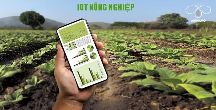 IoT nông nghiệp là gì? Tại sao nên ứng dụng IoT vào trong nông nghiệp?